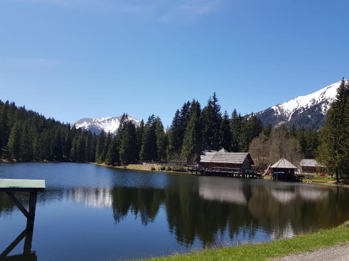Milena-Huette Villa Hohentauern Buitenkant foto