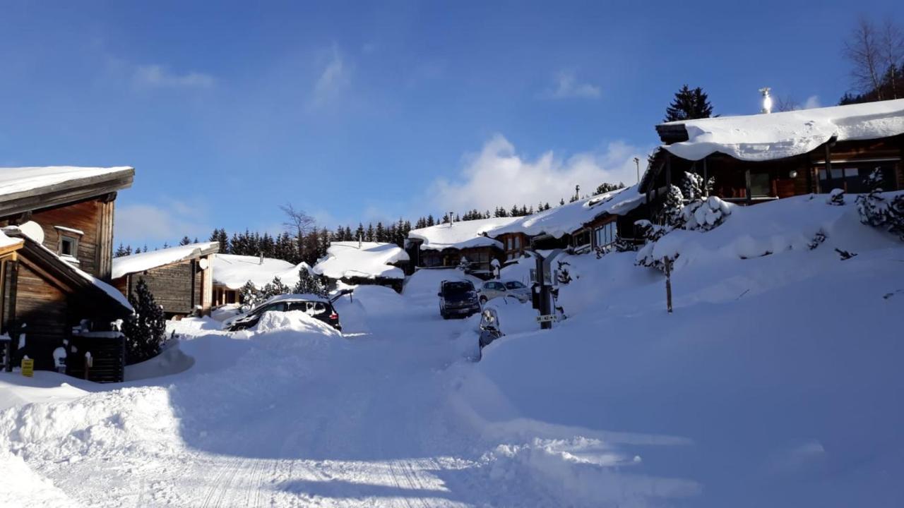 Milena-Huette Villa Hohentauern Buitenkant foto